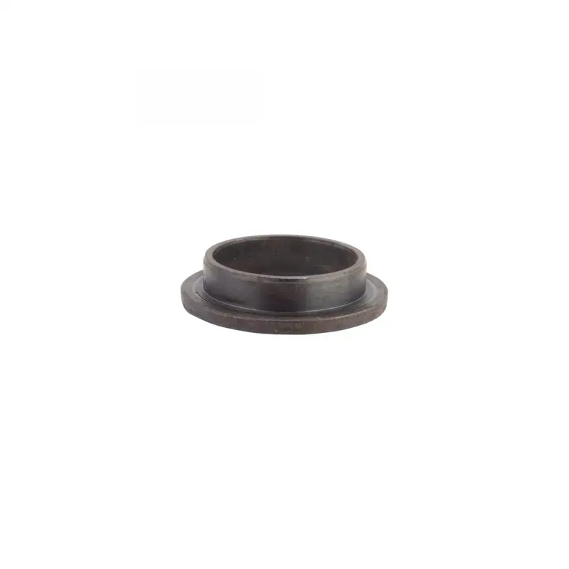 Sunlite 22-19mm Chainring Adaptor 10-pack in Silver 